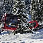 Alpenkoenig
