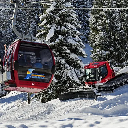 Alpenkoenig